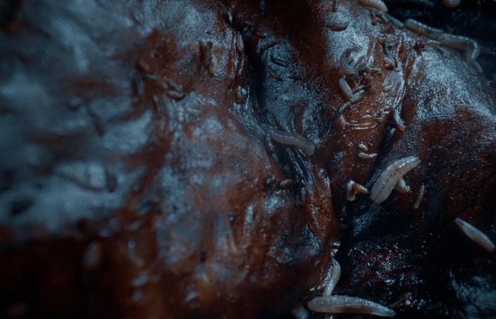 Beigas Still 005.jpeg